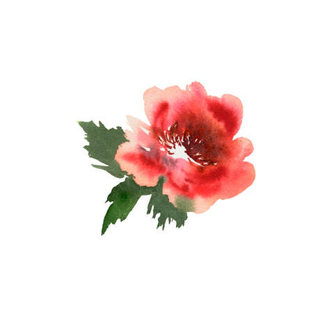 Flowers hand drawn colorful beautiful floral set with yellow pink red blossom plants for cards prints and invitation. Watercolor textureの写真素材