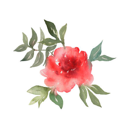 Flowers hand drawn colorful beautiful floral set with yellow pink red blossom plants for cards prints and invitation. Watercolor textureの写真素材