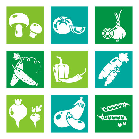 Green set of white vegetables, vector illustrationのイラスト素材