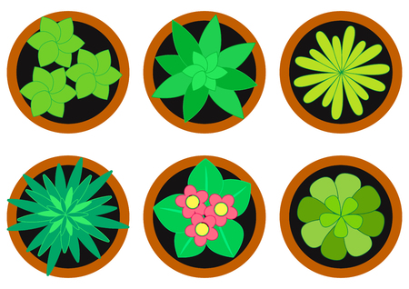 Houseplants in pots top view, indoor flowers. Vector illustrationのイラスト素材