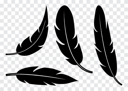 Set of black feather isolated on transparent background. Vector illustrationのイラスト素材
