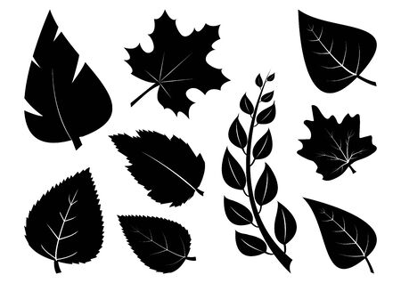 Set of different leaves, black silhouettes. Vector illustrationのイラスト素材