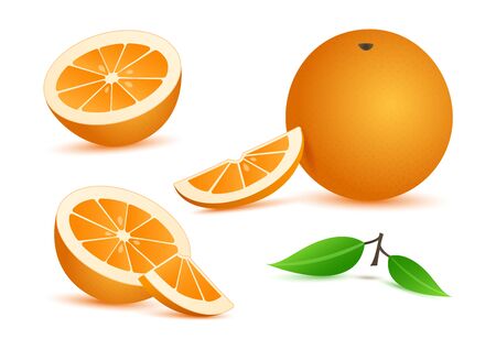 Orange realistic with leaves, slice citrus fruits isolated on white background. Vector illustrationのイラスト素材