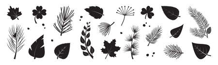 Leaf tree vector icon, plant black silhouettes, fir and pine cone, evergreen, leaves different shapes isolated on white background. Nature illustrationのイラスト素材