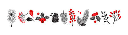 Christmas vector plants, holly winter decor, christmas tree, pine, leaves branches, holiday set isolated on white background. Red and black colors. Vintage nature illustrationのイラスト素材