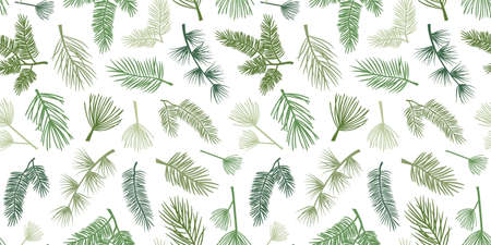 Winter pine and spruce vector seamless pattern, evergreen plant, tree and fir branch, cedar twig background, Christmas and New Year decoration, nature print. Holiday illustrationのイラスト素材