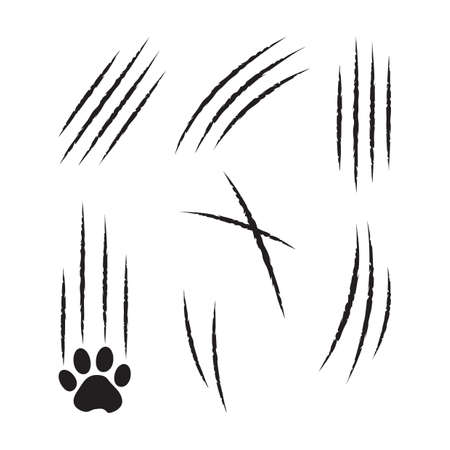 Claw cat scratch, slash vector icon, paw mark set isolated on white background. Animal simple illustrationのイラスト素材