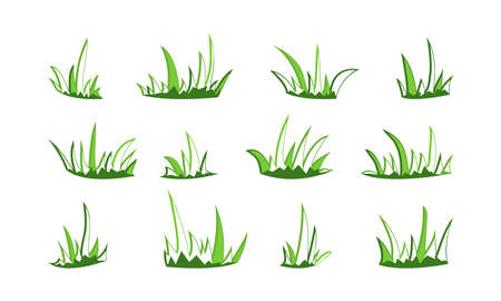 Grass sketch bush vector drawn set, outline doodle meadow and landscape, line scribble lawn isolated on white background. nature illustrationのイラスト素材