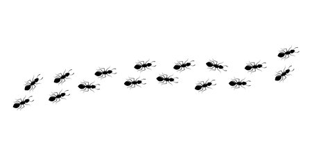 Ant icon, small pest trail, black insect marching, animal colony, black silhouettes bug top view isolated on white background. Vector illustrationのイラスト素材