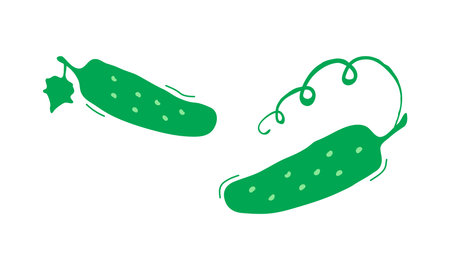 Cartoon cucumbers hand drawn with leaf, cute vegetable doodle set, green character simple icon. Funny child food isolated on white background. Baby naive vector illustrationのイラスト素材