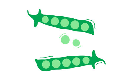 Cartoon peas hand drawn, cute vegetable doodle set, green character simple icon. Funny child food isolated on white background. Baby naive vector illustrationのイラスト素材