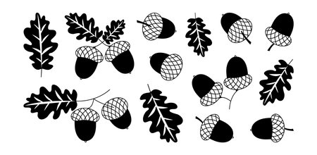 Acorn icon, forest oak nut, autumn or winter leaf and branch. Christmas and New Year decoration set. Nature simple black silhouette isolated on white background. Xmas vector illustrationのイラスト素材