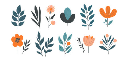 Spring flower and leaf, floral icon, cute plant set, doodle garden branch, summer leaves hand drawn, color simple rustic art isolated on white background. Scandinavian nature vector illustrationのイラスト素材