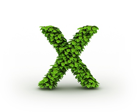  Letter  X, alphabet of green leavesの写真素材