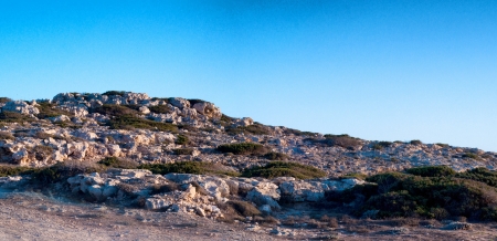 Cyprian wild rocky landscape, bush and grass on rocksの写真素材