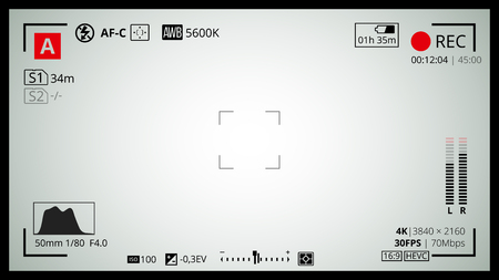 Camera screen with 16x9 Full HD and 4k video grid. Most of shooting settings like AF dot, exposure and camera options. Recording Rec led blinked.のイラスト素材