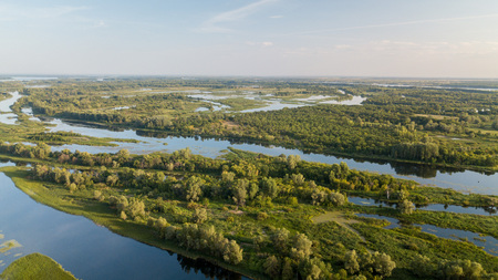 River branch and forestの写真素材
