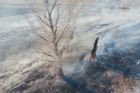 Spring grassland with tree fire, large flames and smoke from forest fire at spring aerial shotの写真素材