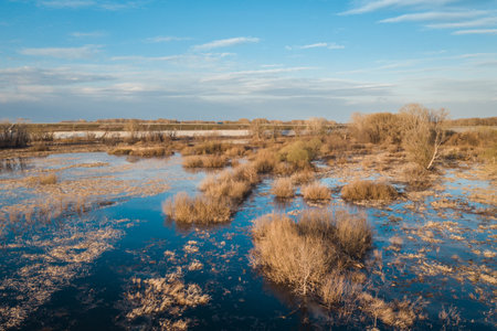 Spring overflow landscapeの写真素材