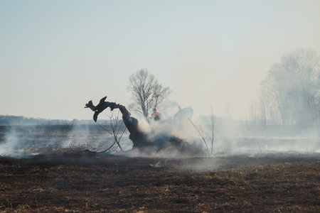 Wildfireの写真素材