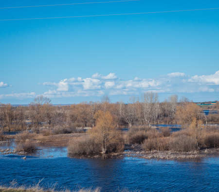 Spring nature view