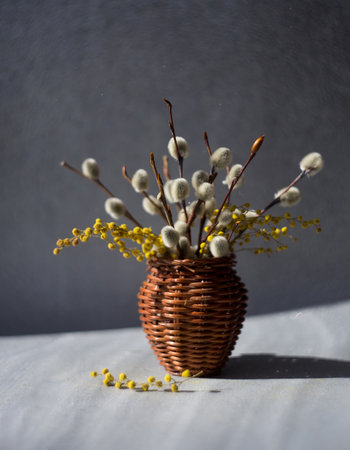 Willow and mimosa twigs in a wicker vaseの写真素材