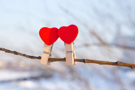 Close-up of two wooden clothespins with red hearts on tree branch. Blurred background with selective focus.の写真素材
