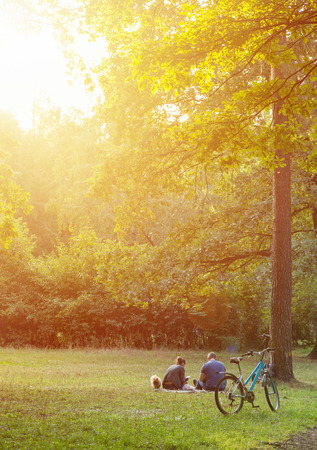 Senior couple with a dog having rest outdoors in the parkの写真素材