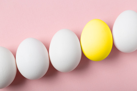 Concept of being unique. One egg painted in yellow