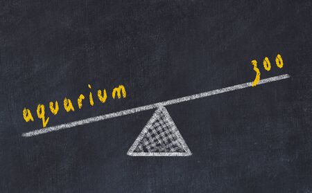 Chalk board sketch of scales. Concept of balance between aquarium and zooの写真素材