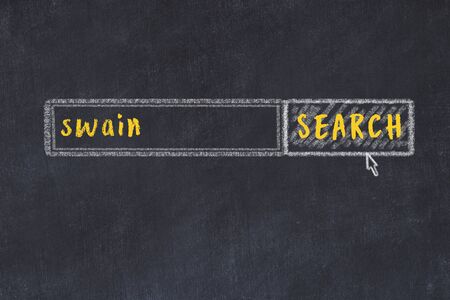 Concept of looking for swain. Chalk drawing of search engine and inscription on wooden chalkboardの写真素材