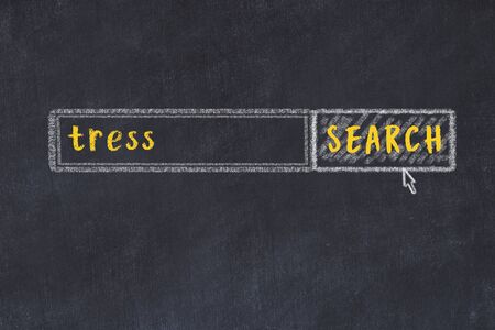 Drawing of search engine on black chalkboard. Concept of looking for tressの写真素材