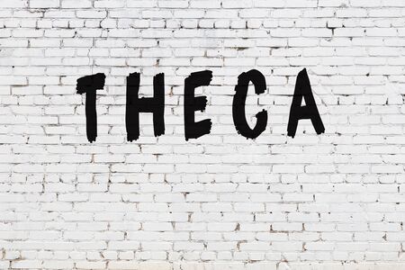 Word theca written with black paint on white brick wall.の写真素材