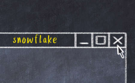 Chalk sketch of closing browser window with page header inscription snowflakeの写真素材