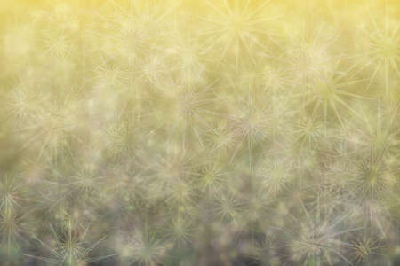 Bokeh on multi colored background with gradient transitions from yellow golden to dark colors.の写真素材