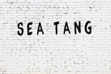 White brick wall with inscription sea tang handwritten with black paintの写真素材