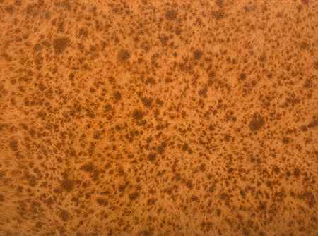 Natural old paper texture with spots, big size.の写真素材