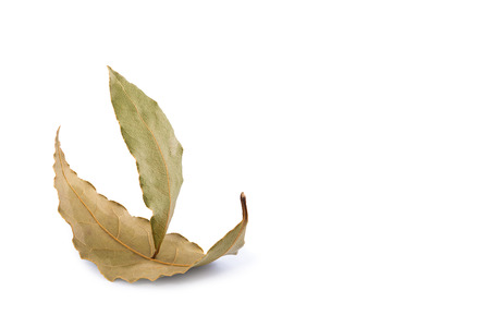 Sailing ship made from two laurel leaves on a white backgroundの写真素材