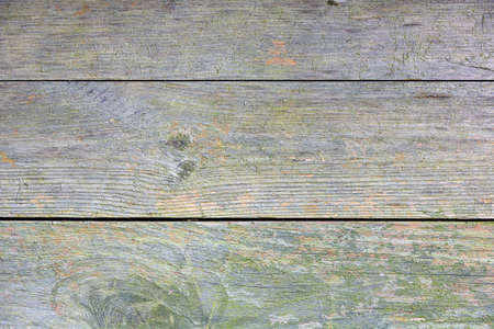 Old weathered wooden surface with moss. Wood pattern with knots. Grunge background with scratches and cracks and mosses on surfaceの写真素材