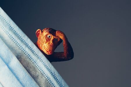 Monkey as a symbol of stupidity behind a medical surgical mask. The concept of mediocre government...