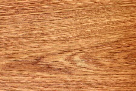 Texture surface of a cut of a natural tree, background, blank or substrate for designの写真素材