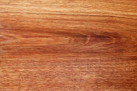 Texture surface of a cut of a natural tree, background, blank or substrate for designの写真素材