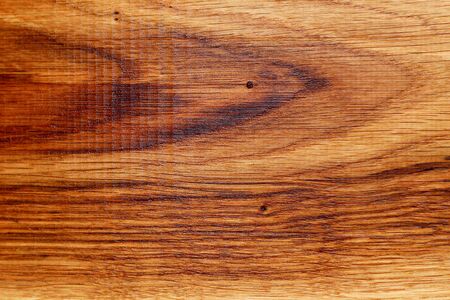 Texture surface of a cut of a natural tree, background, blank or substrate for designの写真素材