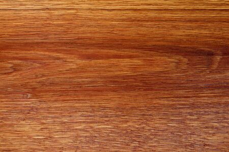 Texture surface of a cut of a natural tree, background, blank or substrate for designの写真素材