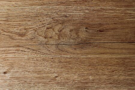 Texture surface of a cut of a natural tree, background, blank or substrate for designの写真素材