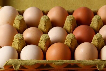 Farm natural home environmentally friendly eggs in a tray