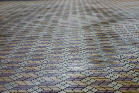 Wet paving after rain in an urban environment