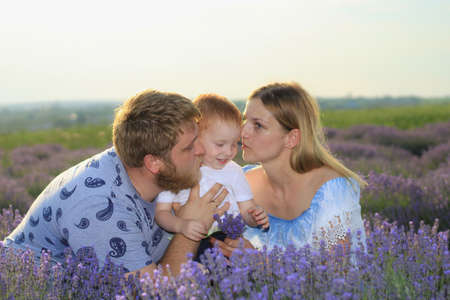 Lifestyle photo shoot of a real family in nature. Mom, dad and son enjoy a walk through the fresh air and the scent on the lavender field in the rays of the setting sun. Selective focus.の写真素材