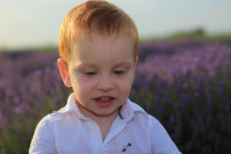 Lifestyle photo shoot in nature. Little kid boy enjoy a stroll through the fresh air and scent on a lavender field in the sunset sun. Selective focus.の写真素材