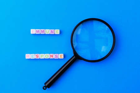 Cubes form the text Immune response and a magnifying glass on a classic blue medical background.の写真素材